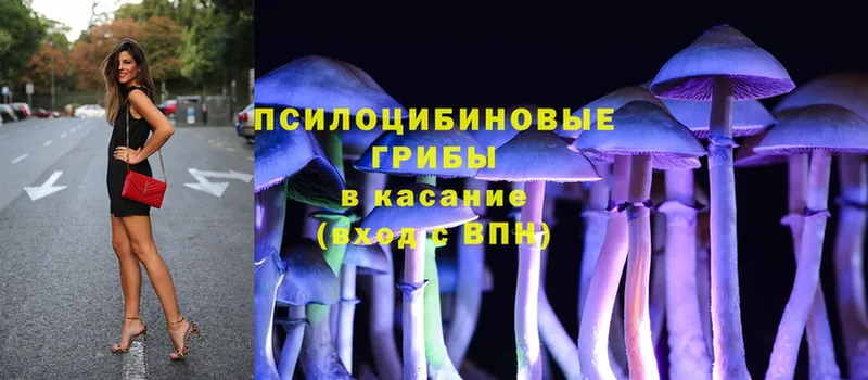 Псилоцибиновые грибы Magic Shrooms  где продают наркотики  Черкесск 